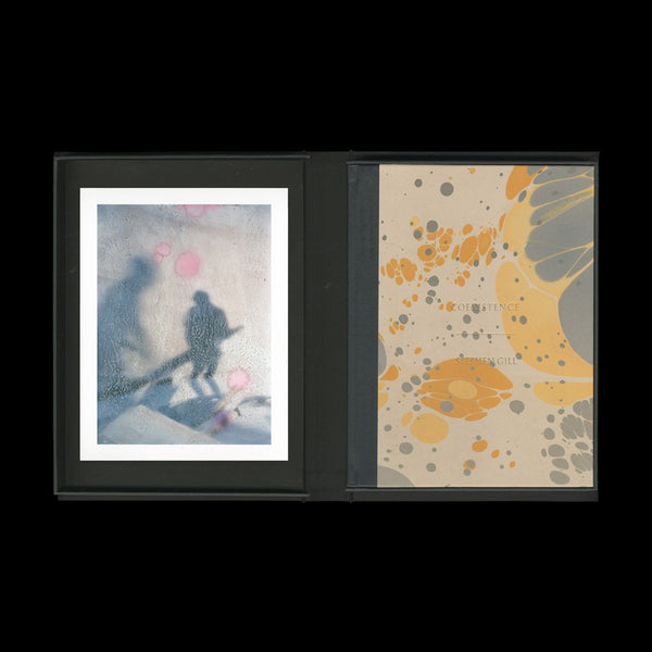 GILL, Stephen. Coexistence. [Dudelange / London]: Centre National de l'Audiovisuel / Nobody, (2012). PRINT EDITION
