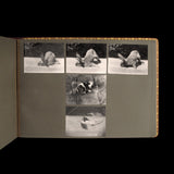 FILM ALBUM. Die Wut. [Berlin]: (Arnold Kühnemann-Film), [1928].