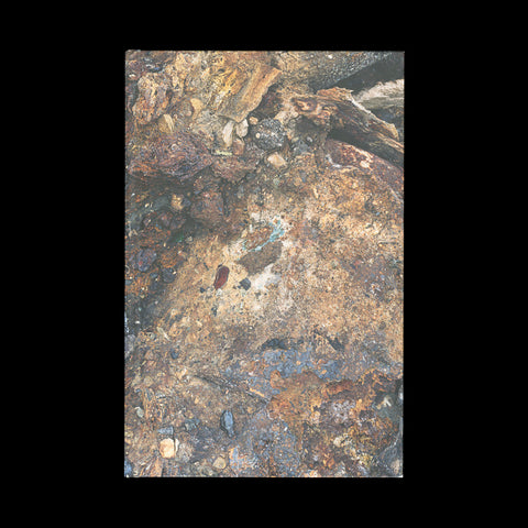 JOHNSON, Eirik. Borderlands. (Santa Fe, New Mexico): (Twin Palms), (2005).