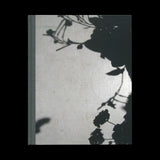 SCHORR, Collier. Forest and Fields. Wäld und Wiesen (2 vols). (Gottingen), 2006-2009.