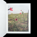 SCHORR, Collier. Forest and Fields. Wäld und Wiesen (2 vols). (Gottingen), 2006-2009.